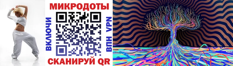 Галлюциногенные грибы Cubensis Каменногорск